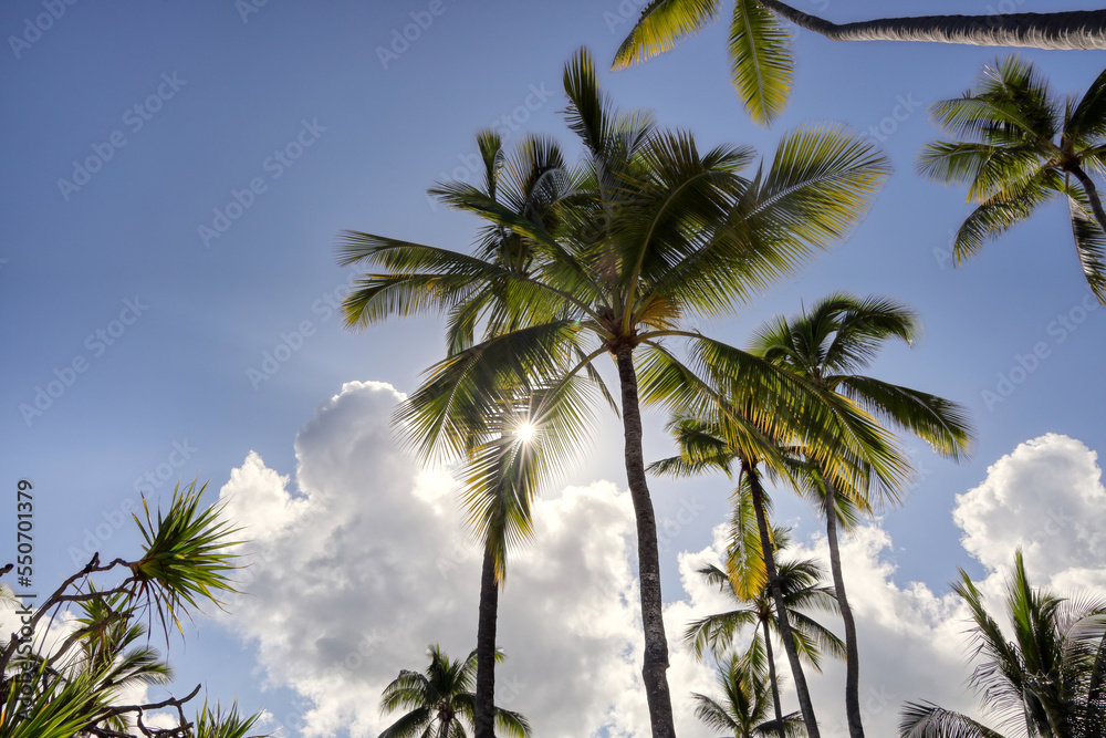 Hawaii - Big Island - Strand - Sehenswürdigkeiten
