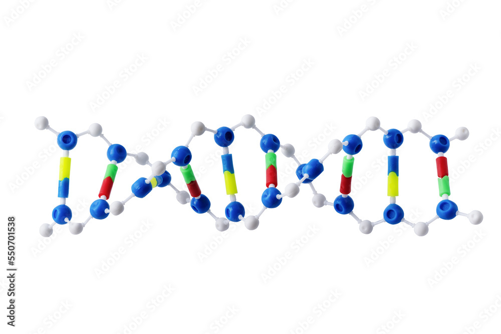 DNA model isolated on white background. DNA souvenir. DNA model isolated on white background. DNA souvenir.