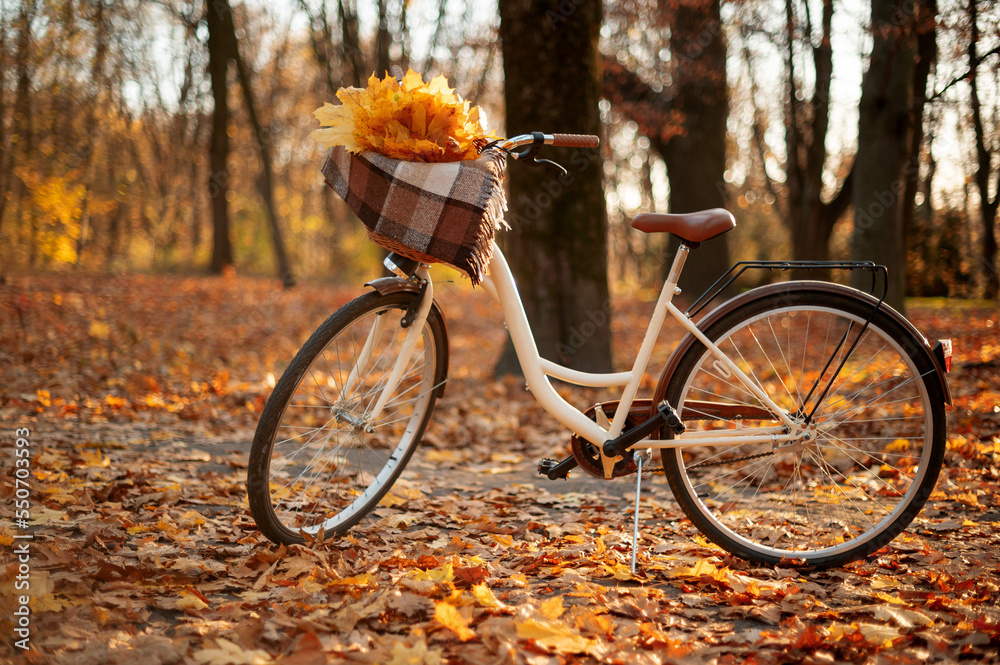 White bicycle with wooden basket is standing in the autumn forest on a sunny day