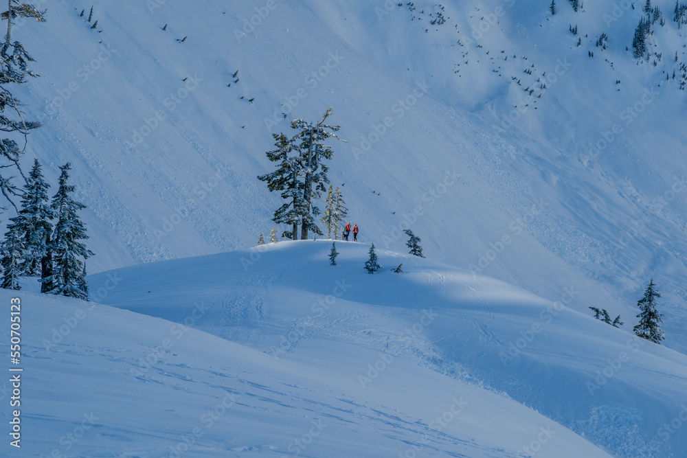 skiing in the mountains