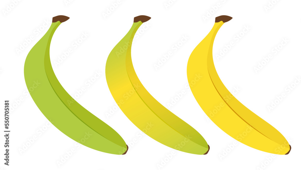 Stages of banana ripening. Tropical fruits in flat style on a white background.