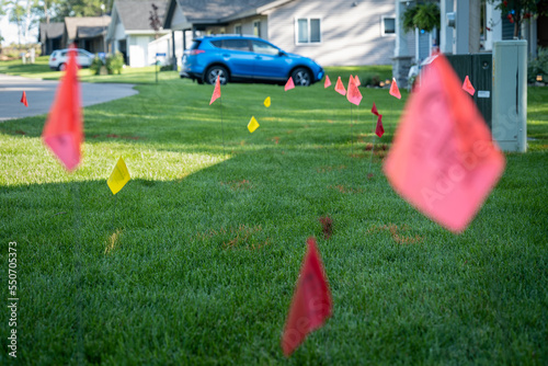 Warning flags on the green grass of a residential lawn, used to prevent injury when digging for landscaping.