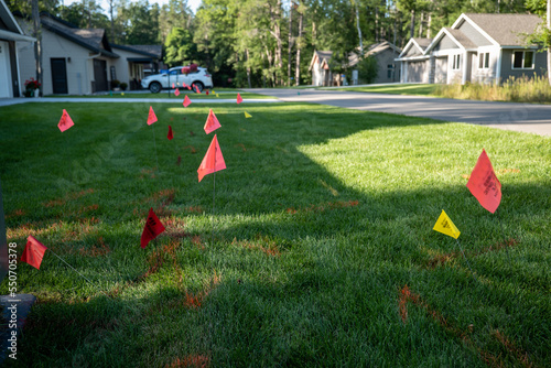 Warning flags on the green grass of a residential lawn, used to prevent injury when digging for landscaping.