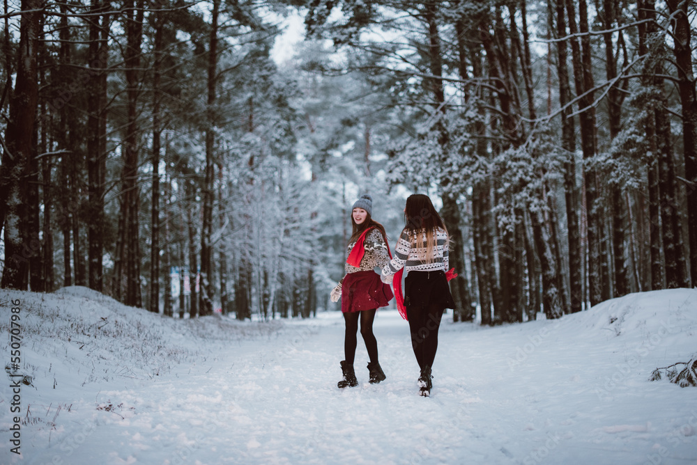 Fototapeta premium Close up fashion portrait of two sisters hugs and having fun in winter time forest, wearing sweaters and scarfs,best friends couple outdoors, snowy weather
