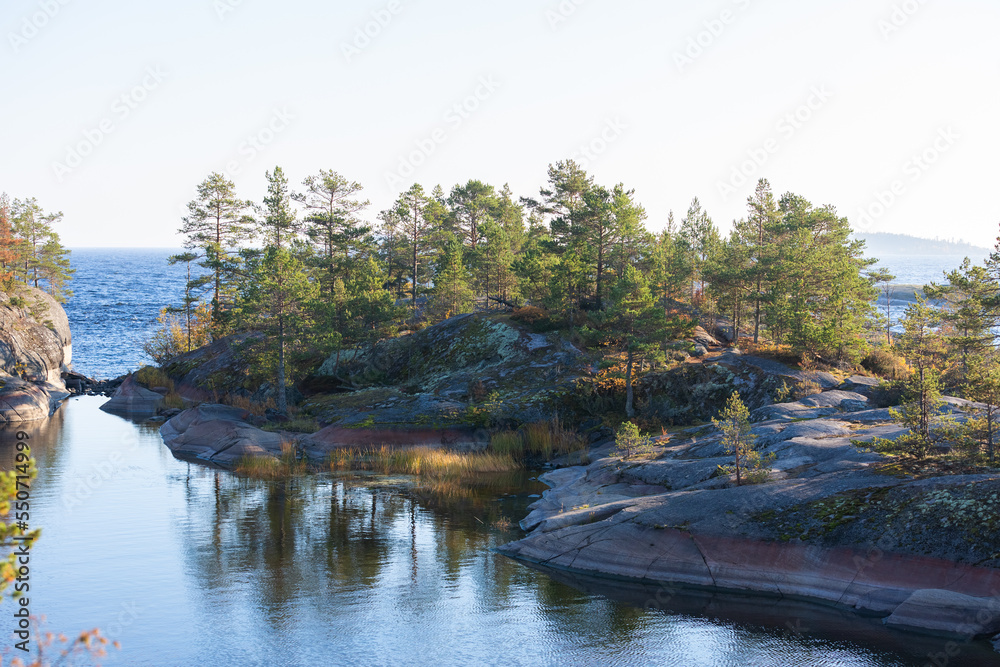 Naklejka premium Ladoga skerries on the lake. A beautiful view of the rocky shores covered with pine trees. Nordic nature at sunset. Stunning view of islands and archipelago. National Park of Karelia