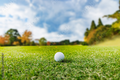瑞々しい芝生と青空と白いゴルフボール