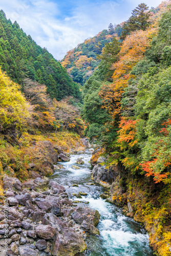 東京、奥多摩の綺麗な紅葉の景色