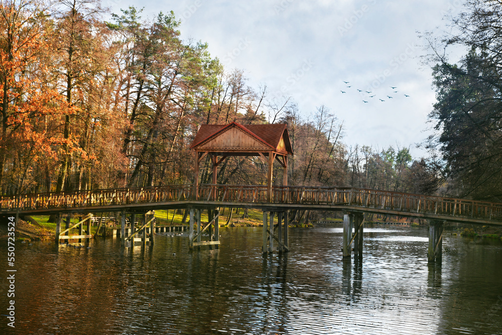 Obraz premium An old wooden bridge across a small river and an autumn forest along the banks. Kyiv. Ukraine. Pushcha-Voditsa recreation area. Intentional camera movement. 