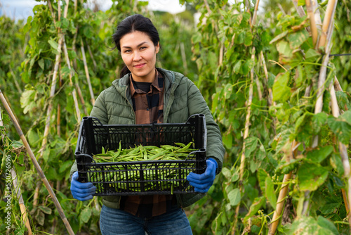 Fényképezés Asian woman gardener standing with crate full of kidney beans on plantation and looking at camera