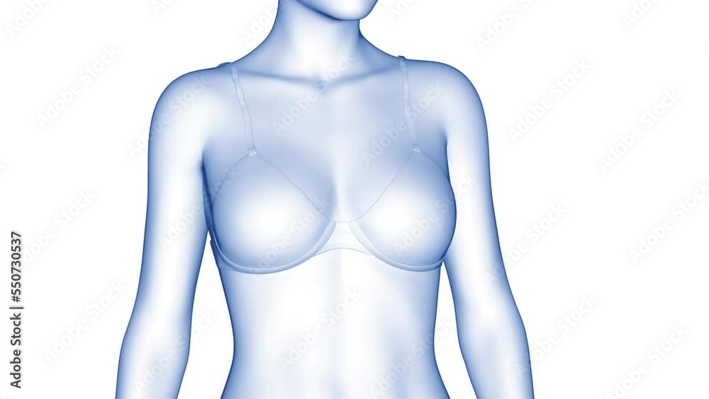 3d rendered medical animation of a woman's transformation after breast surgery 3d rendered medical animation of a woman's transformation after breast surgery