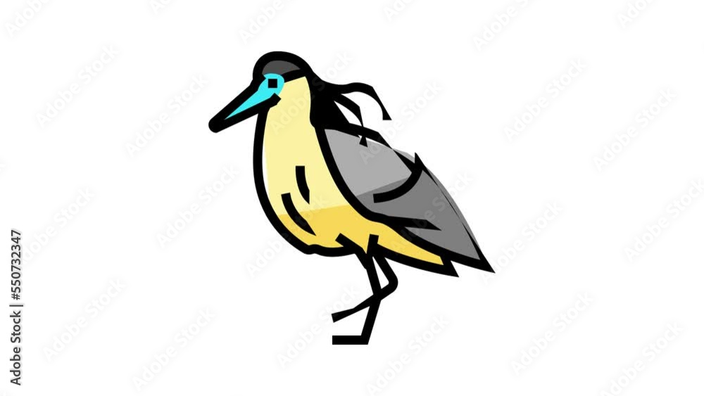 capped heron bird exotic color icon animation capped heron bird exotic color icon animation