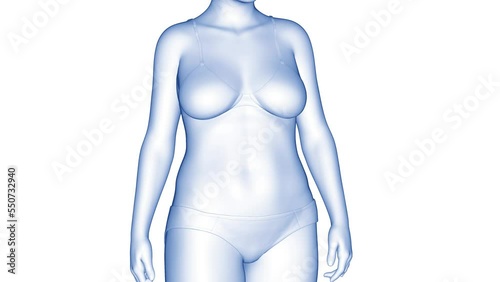 3d rendered medical animation of a woman's fitness transformation
