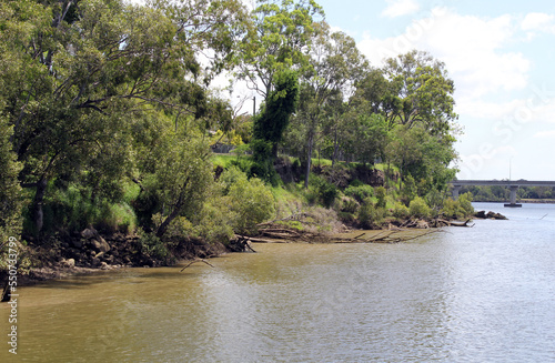 Trees landscape next to the Burnett River in Bundaberg, Queensland, Australia