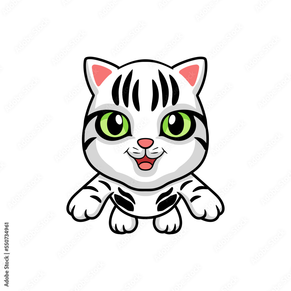 Fototapeta premium Cute american short hair cat cartoon flying