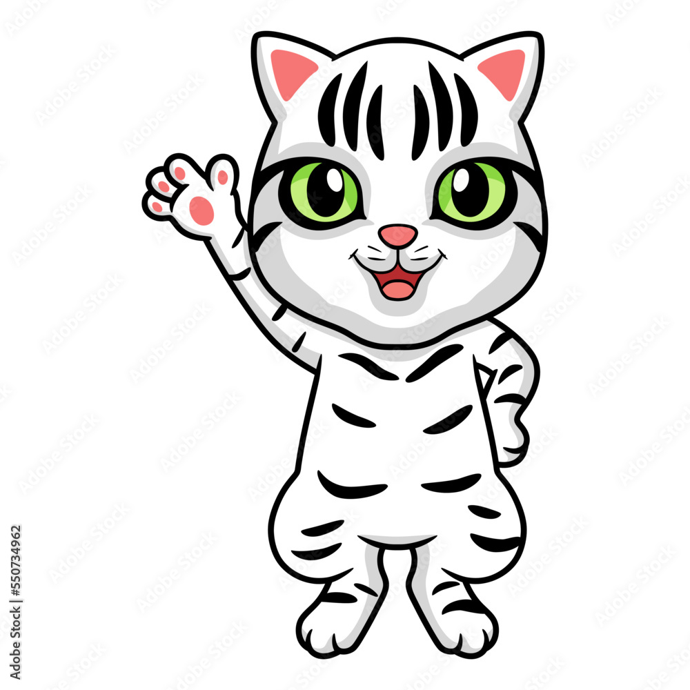 Cute american short hair cat cartoon waving hand