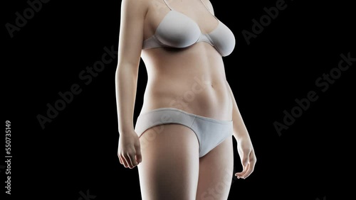 3d rendered medical animation of a woman's transition to a fitter body