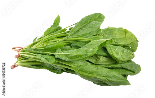 spinach on  transparent png photo