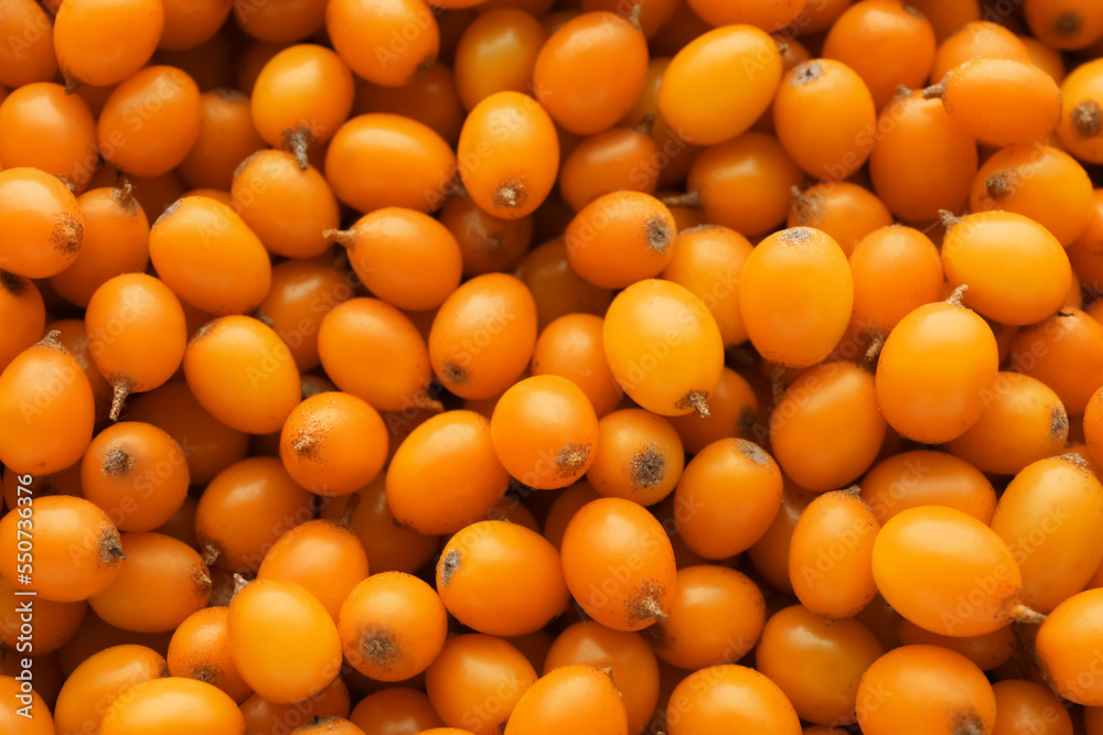 Fresh ripe sea buckthorn berries as background, top view Fresh ripe sea buckthorn berries as background, top view