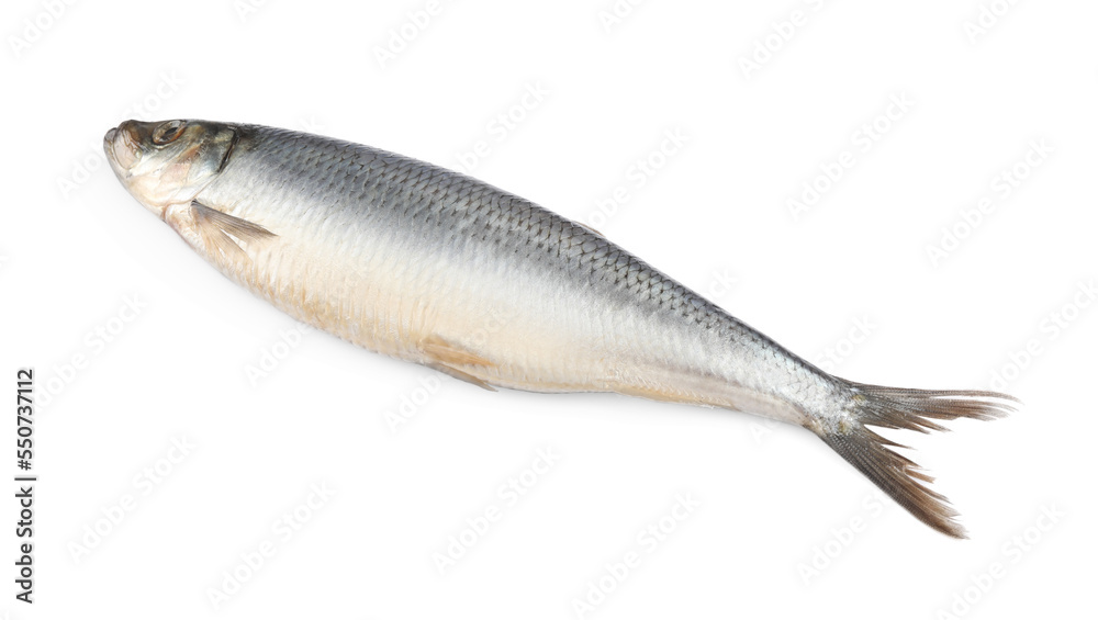 Whole delicious salted herring isolated on white Whole delicious salted herring isolated on white