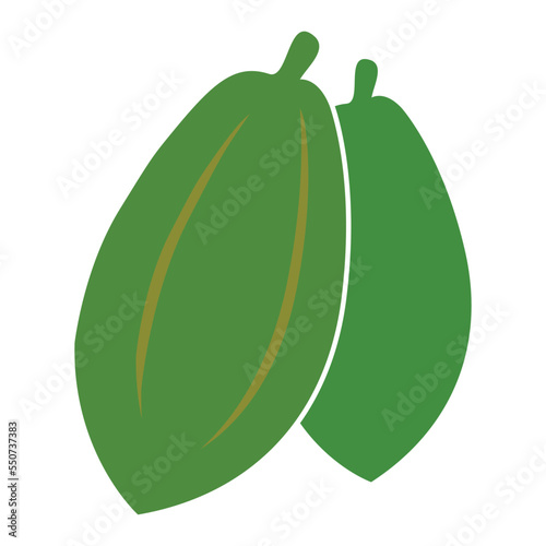 papaya logo vektor © Ida