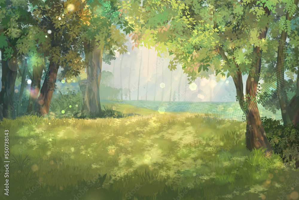 Sunlight Tree forest landscape background
