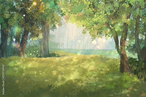 Sunlight Tree forest landscape background