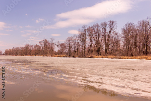 Wallpaper Mural Beautiful winter landscape at the ravine Petrie Island, Ottawa Torontodigital.ca