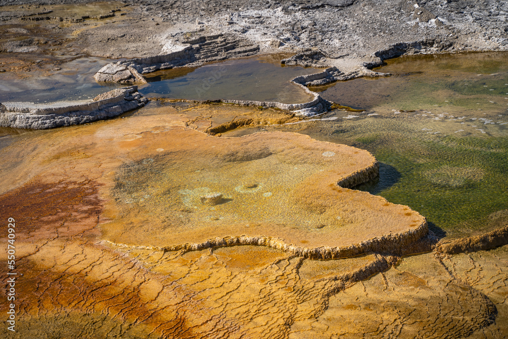 Mammoth Hot Springs Terraces, 
Travertine pools, Yellowstone National Park.