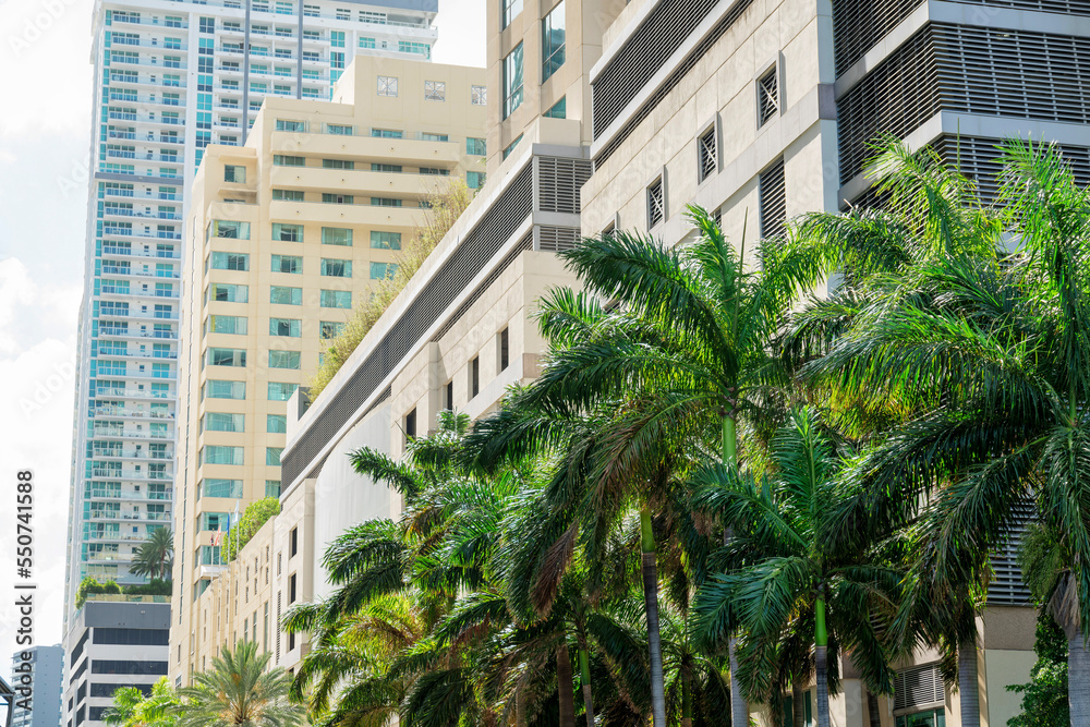 Rows of modern multi-storey buildings with palm trees at the front in Miami, Florida