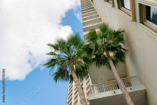 Palm trees near the balconies at the corner of the building undert the clouds in the sky- Miami, FL photo