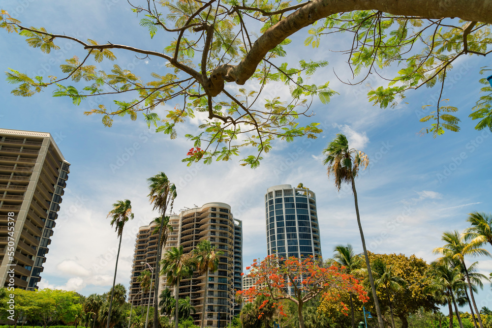 Views of multi-storey residential buildings with trees outdoors at Miami, Florida