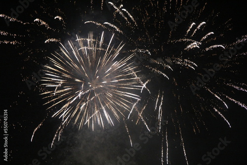 Obraz na płótnie 夜空に広がる打上花火