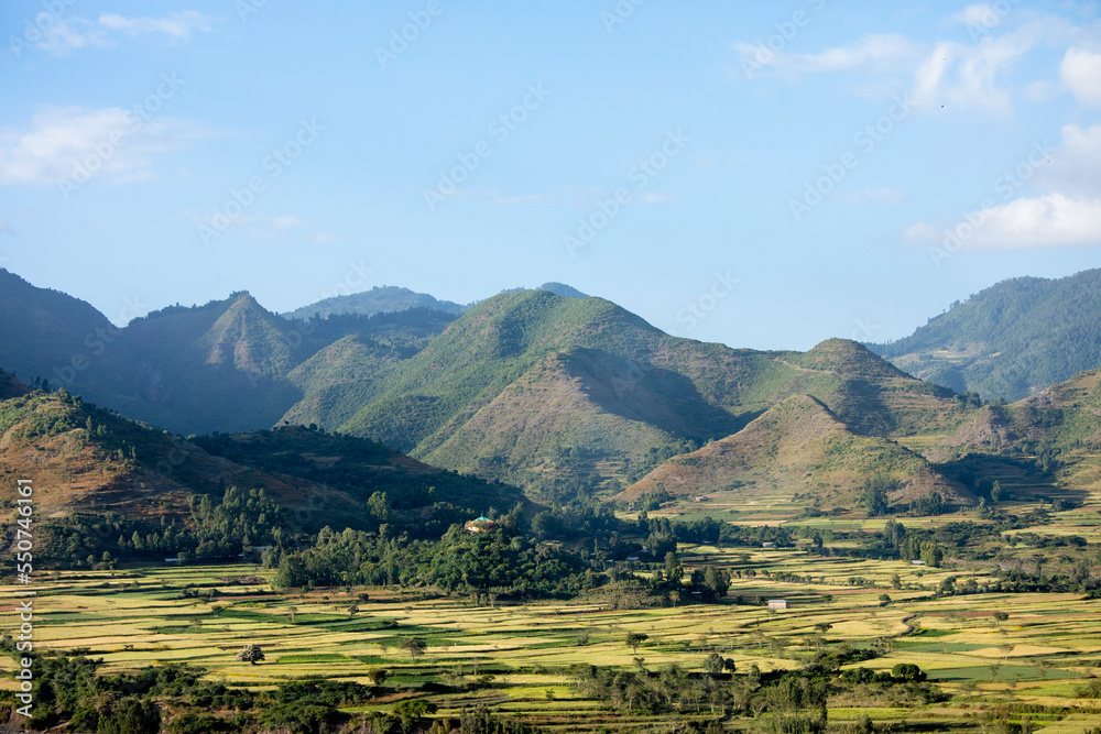 Terraced farms in the mountains of Ethiopia between Dessie and Kombolcha. Terraced farms in the mountains of Ethiopia between Dessie and Kombolcha.