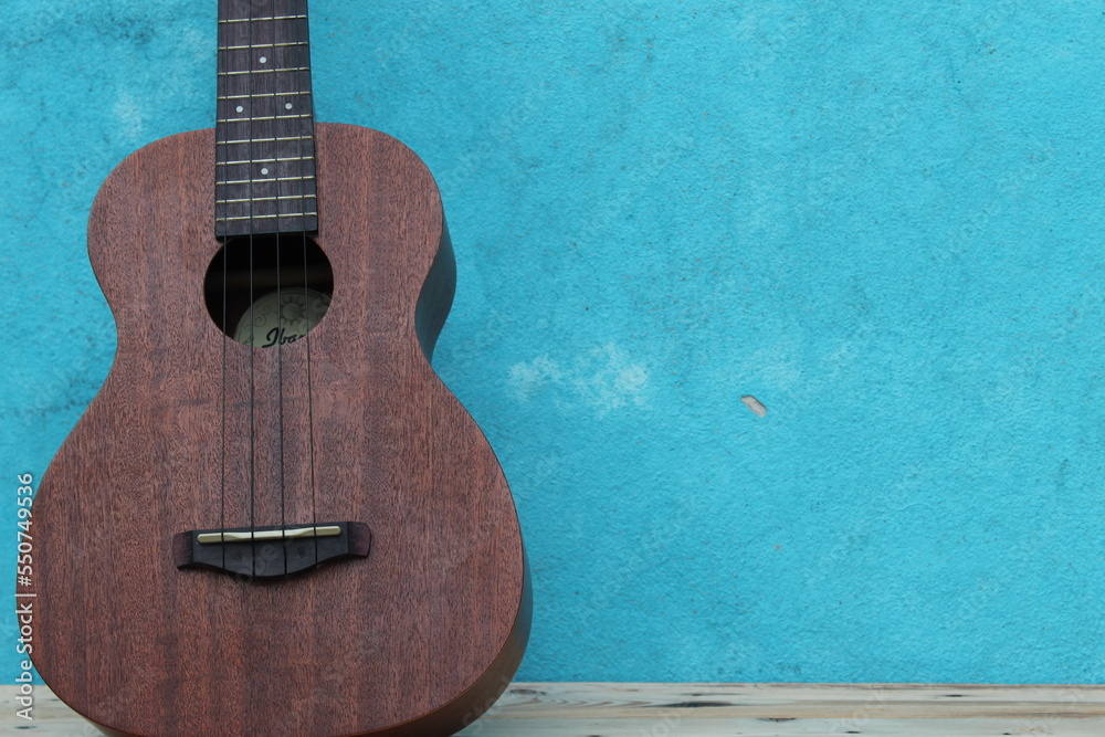 Obraz premium Ukulele 