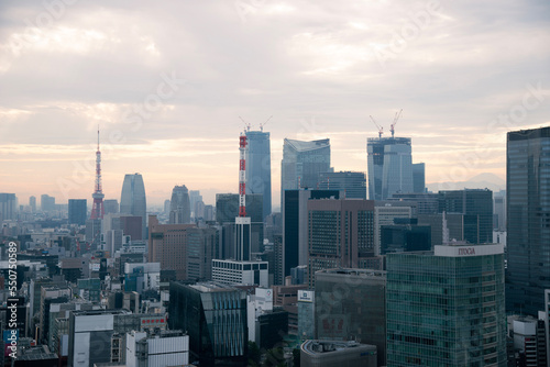 Tokyo at dusk (with a silhouette of Mt. Fuji)