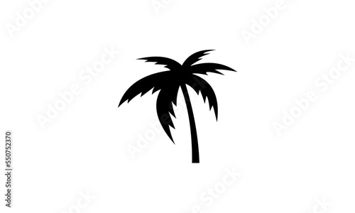 palm tree silhouette © rian