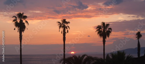 Sun setting over a bay with colorful clouds and foreground palm trees