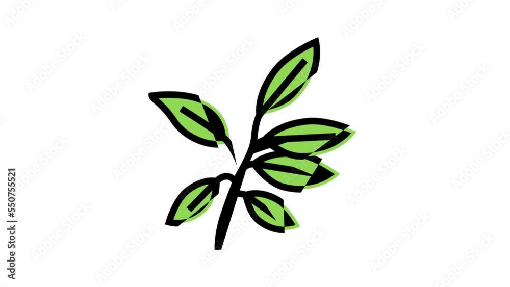ebony leaf color icon animation ebony leaf color icon animation