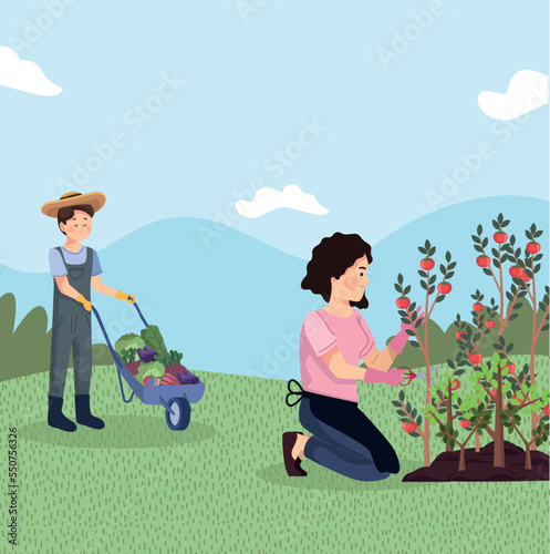 farmers couple with tomatoes cultive photo