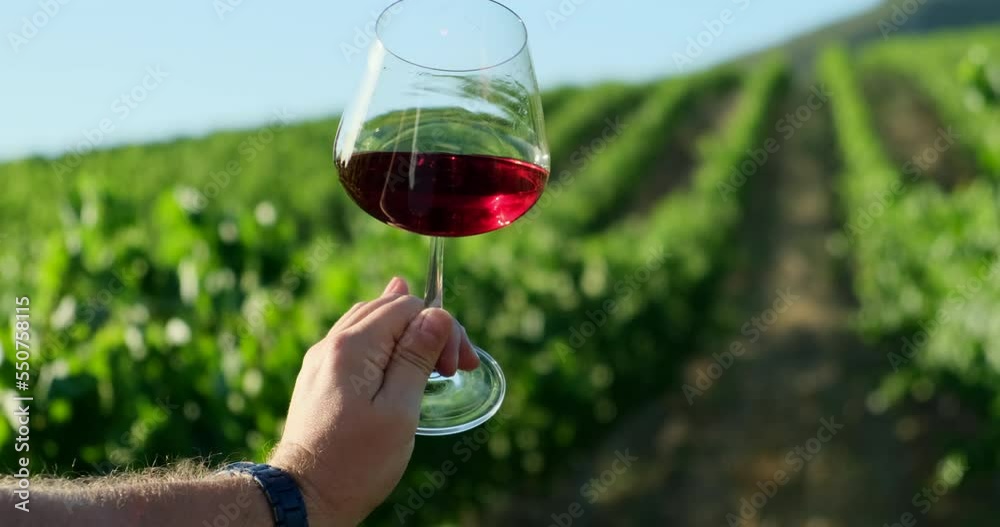 Glass of aged red wine against background of grapes. Wine
