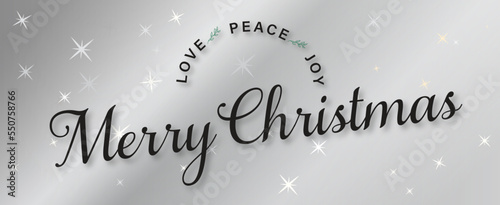 Merry Christmas Web Banner in Silver and Black - Traditional Script Cursive Text