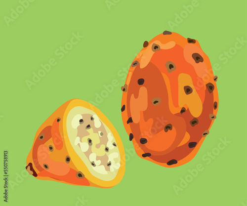 orange prickly pear fruit vector illustration