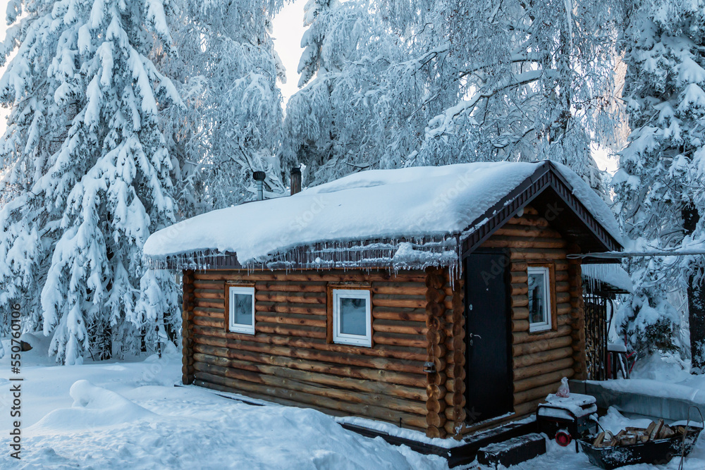 Wooden house in a picturesque winter forest