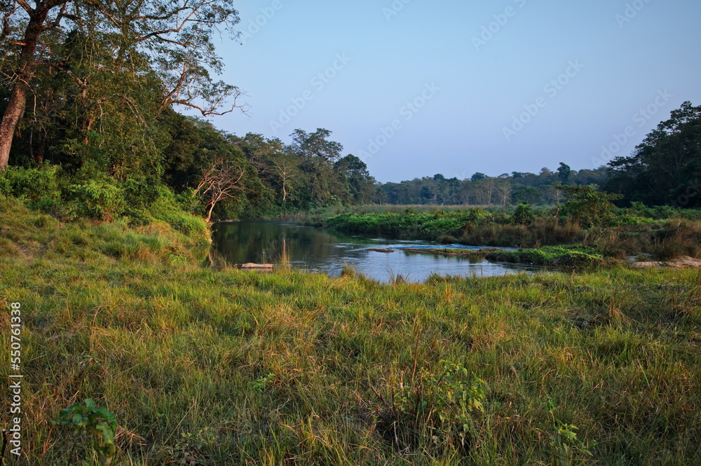 Fototapeta premium Grassland and jungle in Chitwan National Park with rhino bathing in river, Nepal