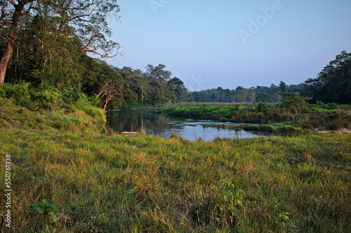 Grassland and jungle in Chitwan National Park with rhino bathing in river  Nepal