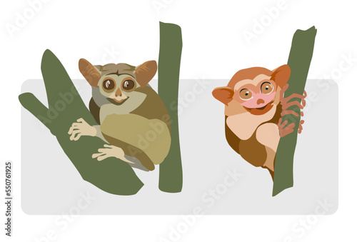 Enchanting Bohol Tarsiers: Vector Collection of Rare Philippine Primates