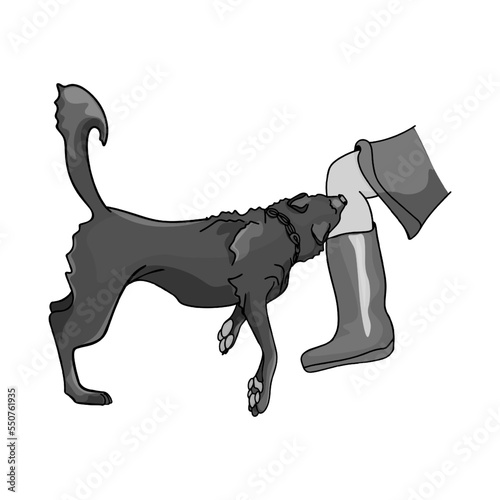 The dog is attacking. Aggressive dog bites human leg. An illustration of an attack by an angry animal on the street, crying and feeling pain. The social problem of distraught homeless animals. 