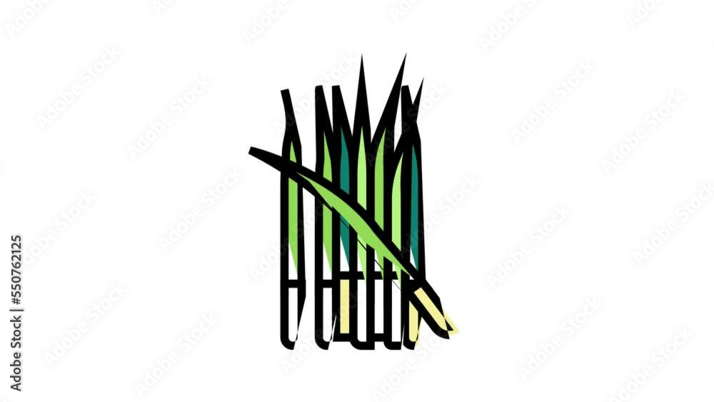 green growing onion color icon animation
