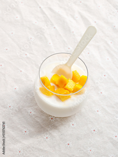 delicious dessert pudding