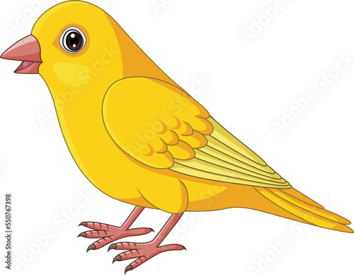 Cartoon Yellow Canary bird on White Background